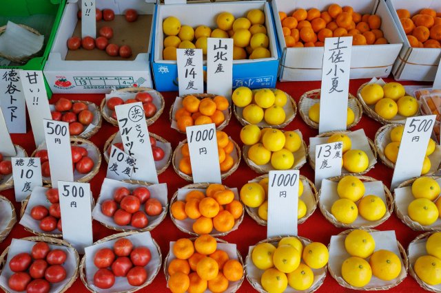 吃遍星期天市集｜高知春季美味水果