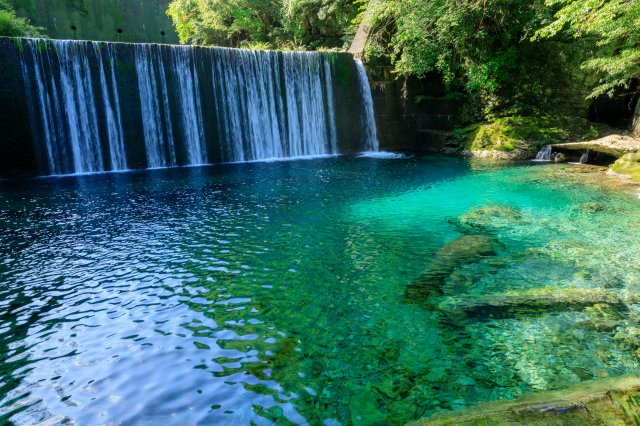Your Niyodo River adventure awaits