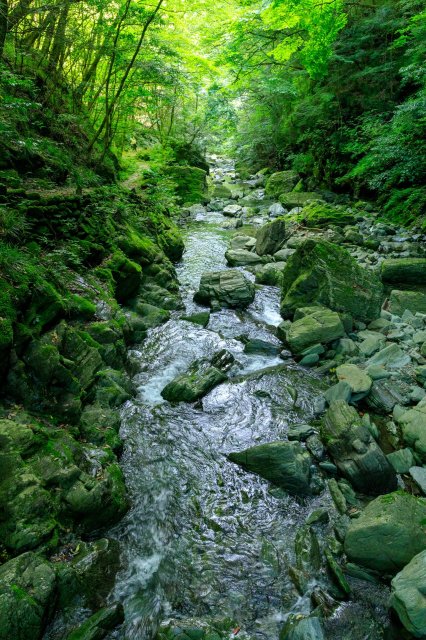 Your Niyodo River adventure awaits
