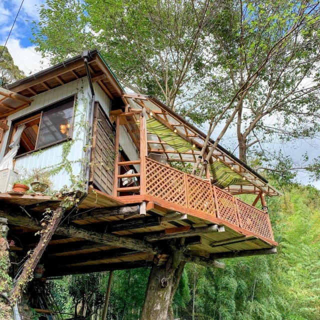 A treehouse cafe run by a 10-year-old? YEP