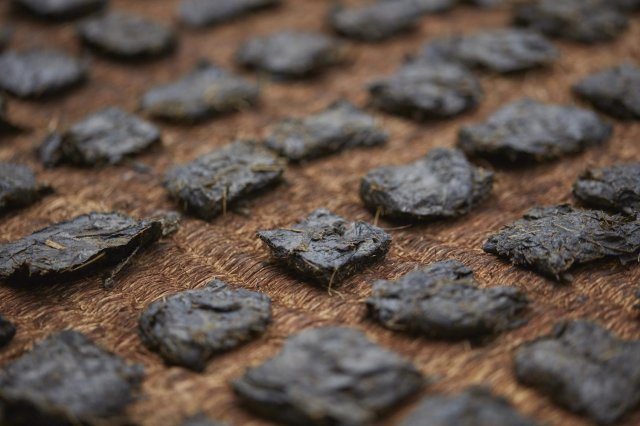 Fermented tea? Yep, and this one dates back 400 years