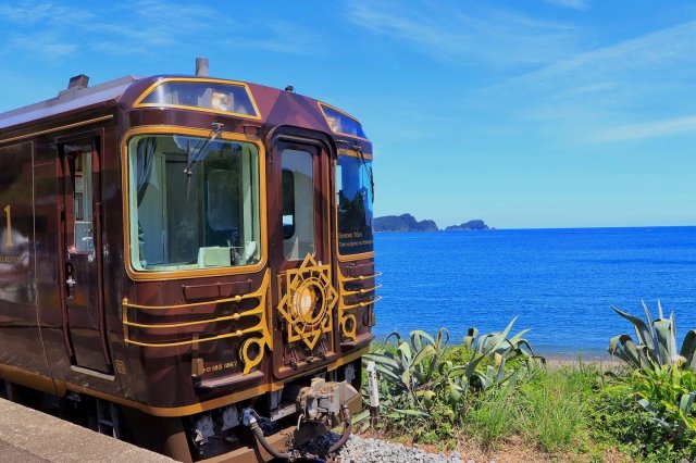 All about sightseeing trains