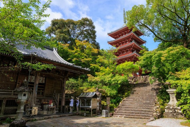 高知遍路｜賞楓勝地ー竹林寺