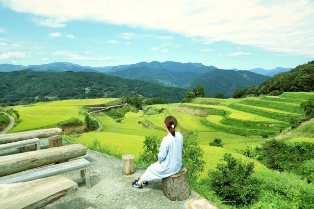 高知嶺北地區的美麗絕景｜高須梯田