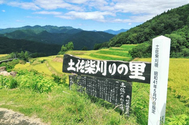高知嶺北地區的美麗絕景｜高須梯田