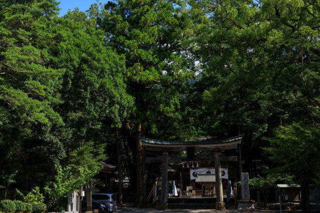 土佐神社巡禮｜土佐一之宮 土佐神社