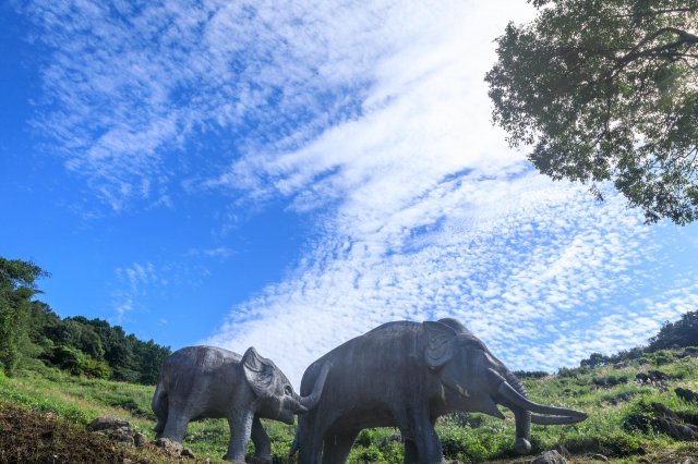 鄰近車站的異世界絕景｜佐川諾曼喀斯特