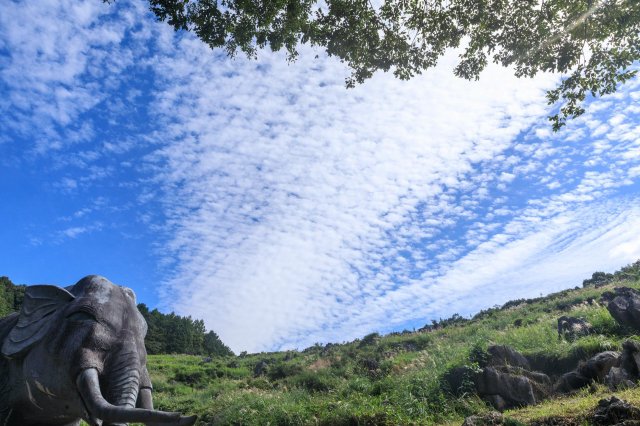 鄰近車站的異世界絕景｜佐川諾曼喀斯特