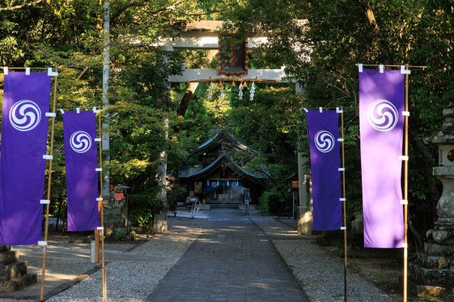 土佐神社巡禮｜高知市－若宮八幡宮