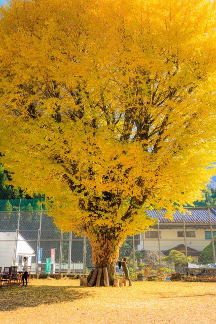 高山小鎮～津野町優閒的一日旅