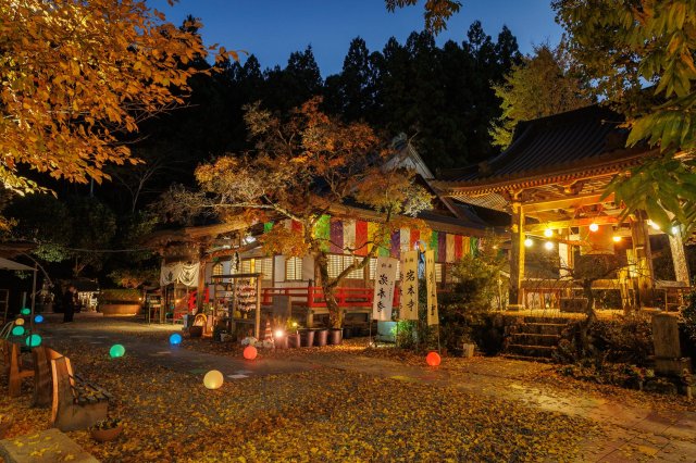 Autumn illuminations at an over 1,000-year-old temple