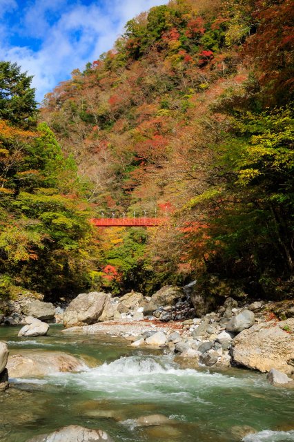 Autumn leaves, hot springs, and tattoos!