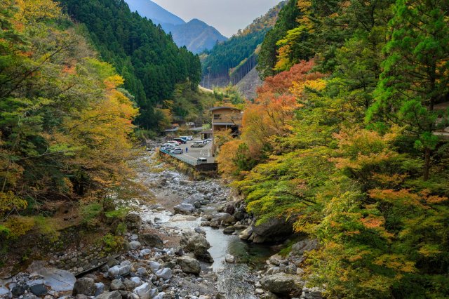 Autumn leaves, hot springs, and tattoos!