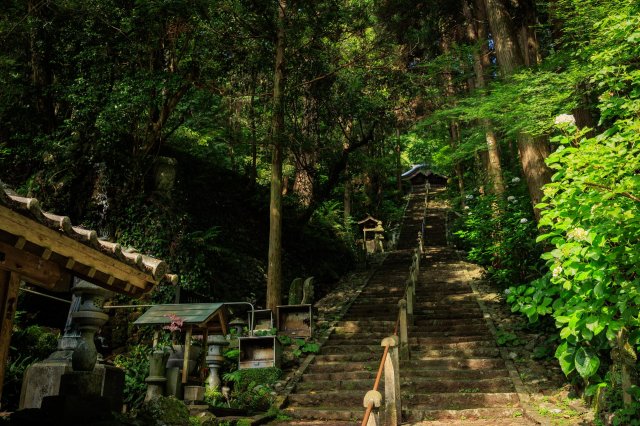 步行遍路道推薦｜國家史蹟指定－青龍寺道