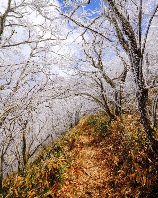 The harmony of icy blue and lush green on Mt. Iyo-Fuji