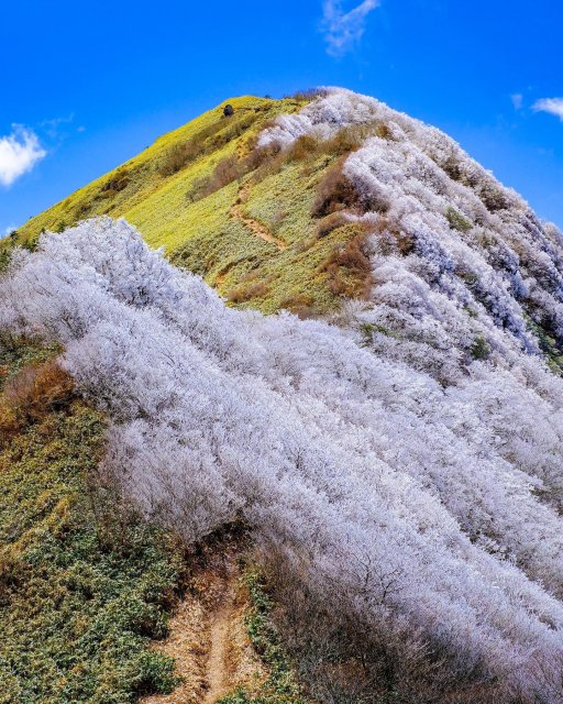 The harmony of icy blue and lush green on Mt. Iyo-Fuji