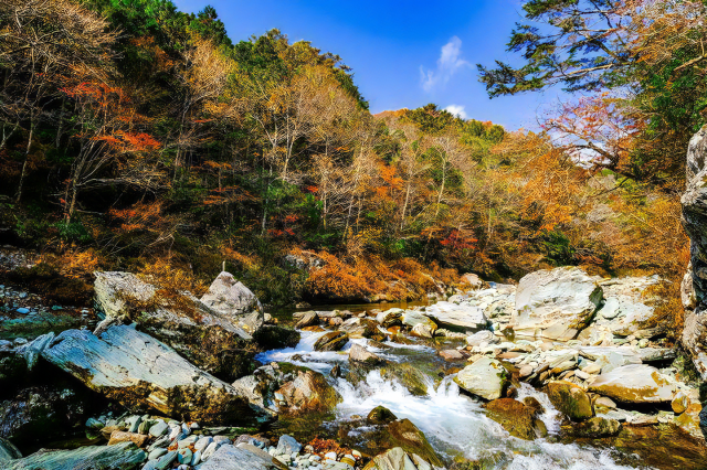 Crystal-clear rivers and…yummy mushrooms!