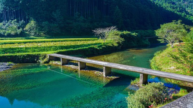 Where Japan’s last free-flowing river begins