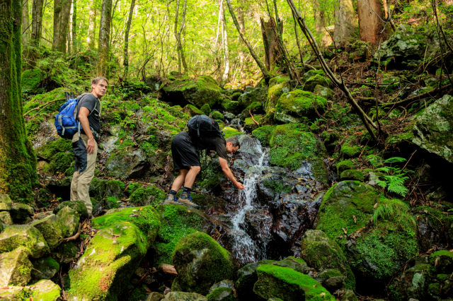 Where Japan’s last free-flowing river begins