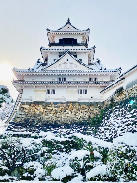 Magical snow and 400-year-old Kochi Castle
