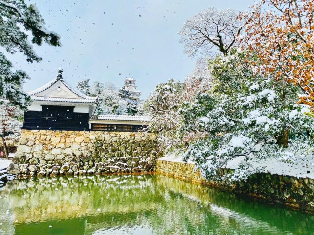 Magical snow and 400-year-old Kochi Castle