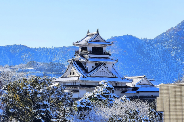 Magical snow and 400-year-old Kochi Castle