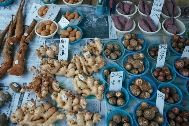 吃遍星期天市集～冬季篇｜高知水果之王文旦、薑茶