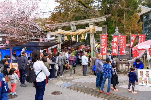土佐神社巡禮―不老長壽能量景點 #椙本神社