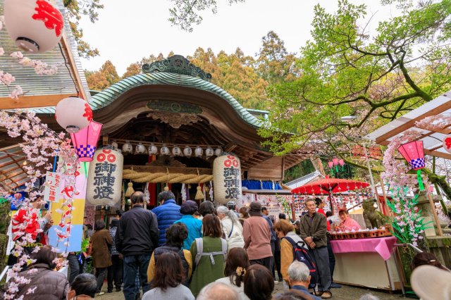土佐神社巡禮―不老長壽能量景點 #椙本神社