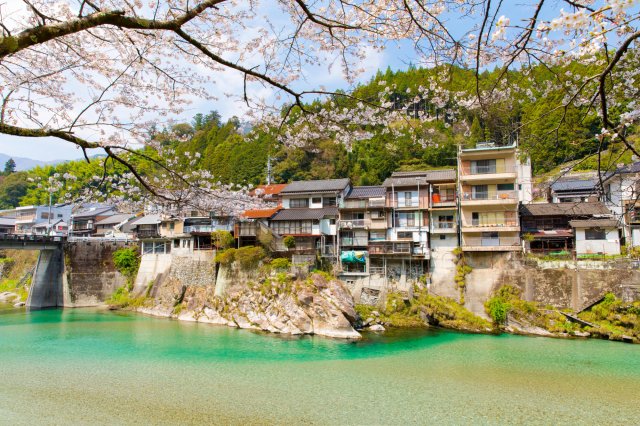 A sneak peek of what’s to come|Topics|VISIT KOCHI JAPAN