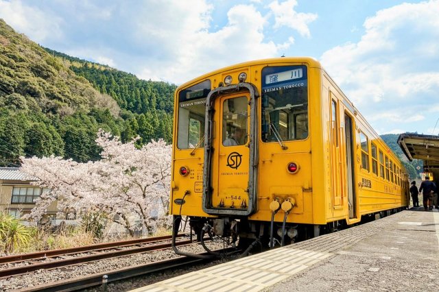 Shimanto River and cherry blossom views…from a train!
