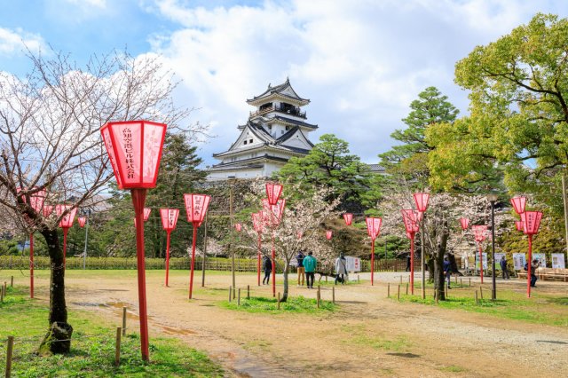 Cherry blossom fun at 400-year-old Kochi Castle