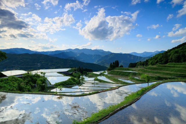 Time to refresh and unwind at Takasu rice terrace