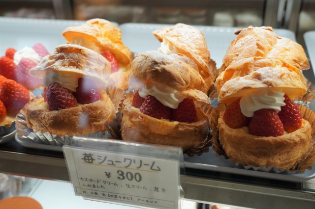 Taste of Kochi: Strawberry Delights from Michi-no-Eki Nakatosa