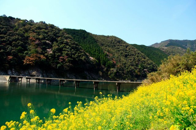 Shimanto River