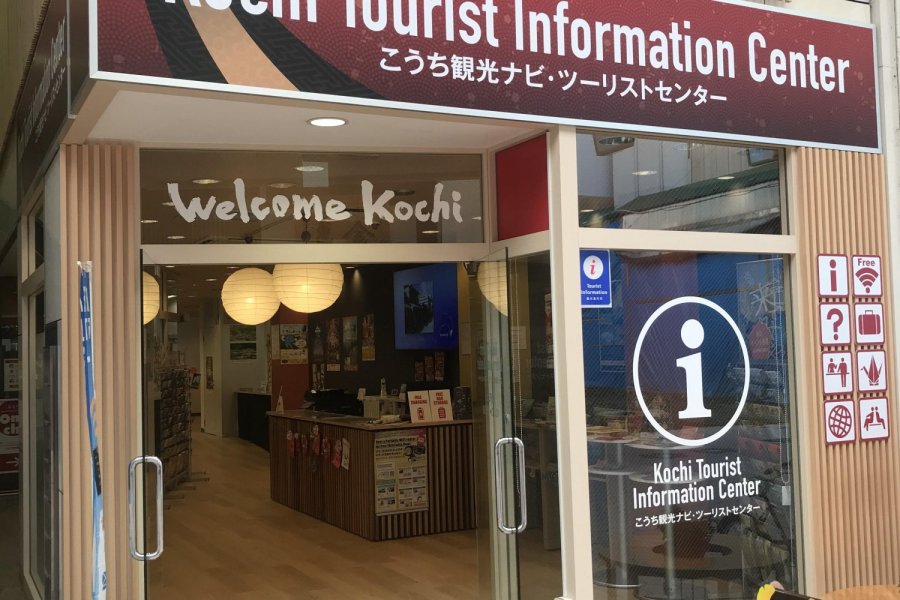 kochi tourism website