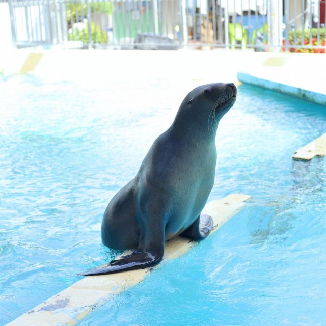 桂濱水族館