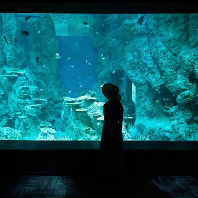 Kochi Prefectural Ashizuri Aquarium SATOUMI