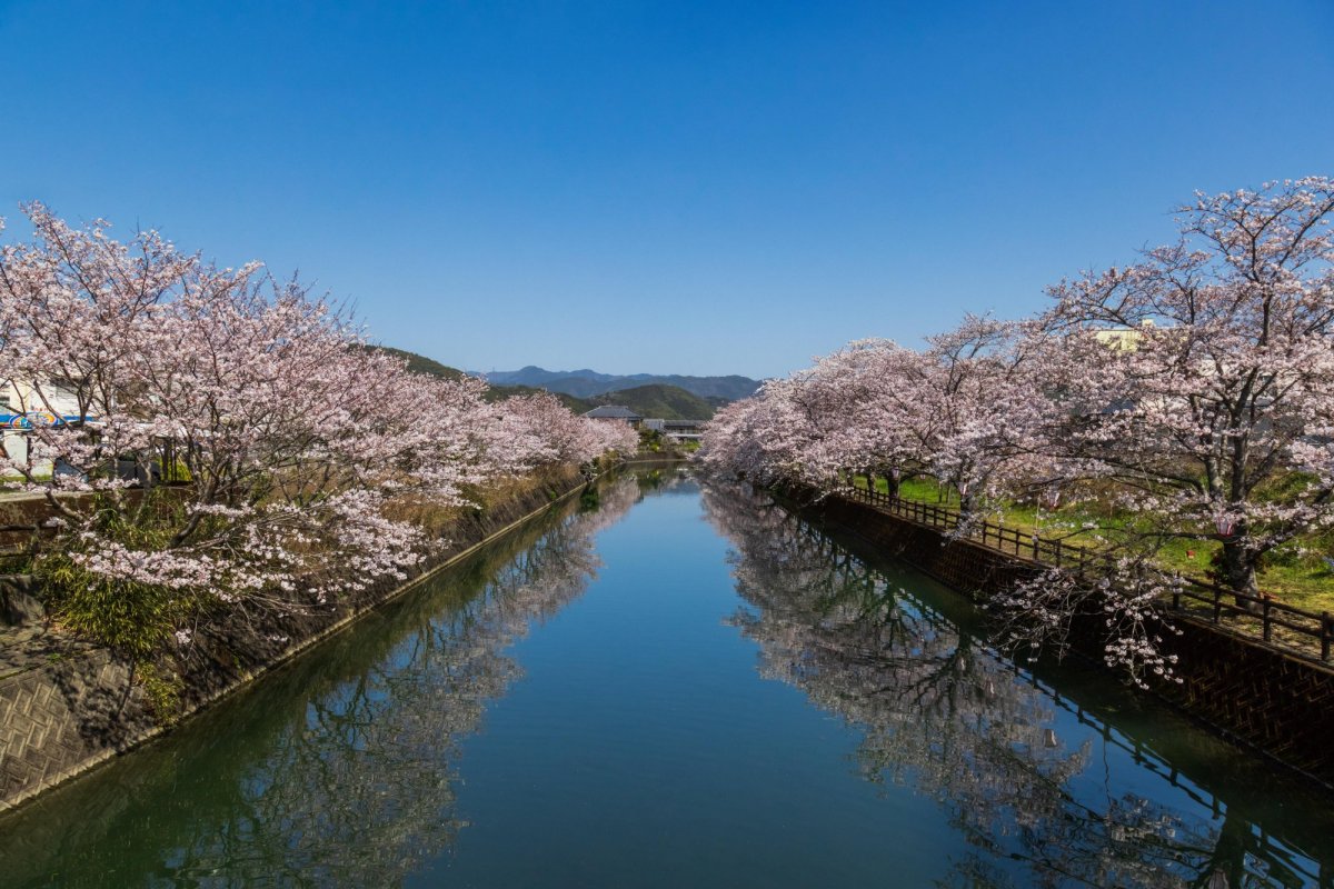 佐川町役所前