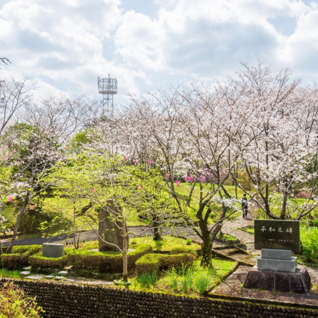 Tamematsu Park (Nakamura)