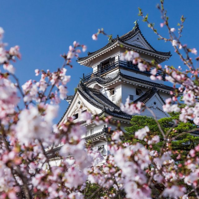 Kochi Castle