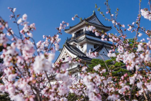 Kochi Castle