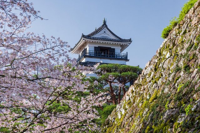 Kochi Castle