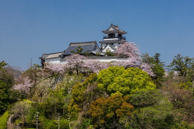 高知城