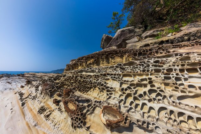 สวนสาธารณะทัทสึคุชิไคอิคิ (Tatsukushi Marine Park)