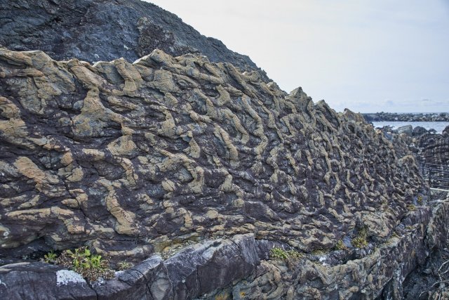 Muroto  Global Geopark Center