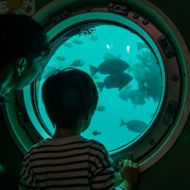 足摺海底馆