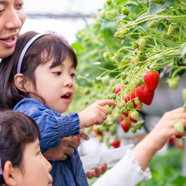 Nishijima Horticultural Park