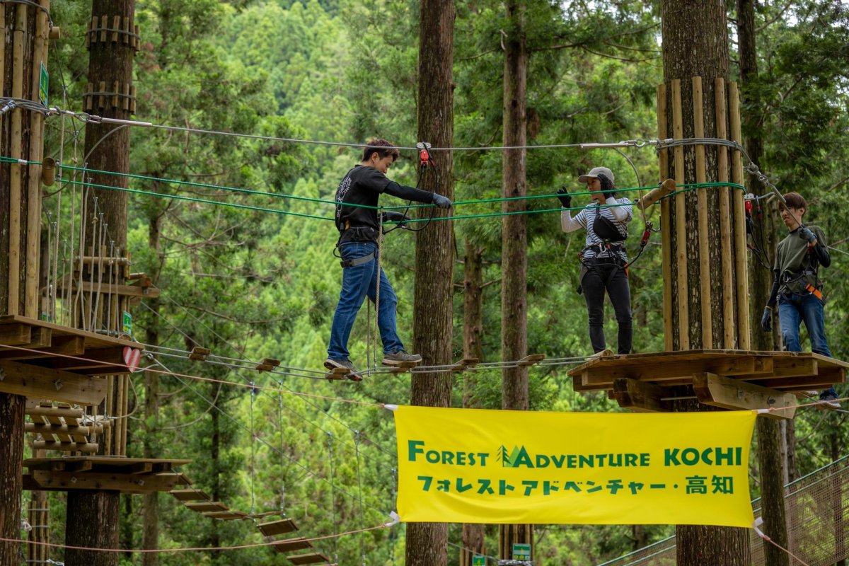 Forest Adventure ป่าแห่งการผจญภัย โคจิ 