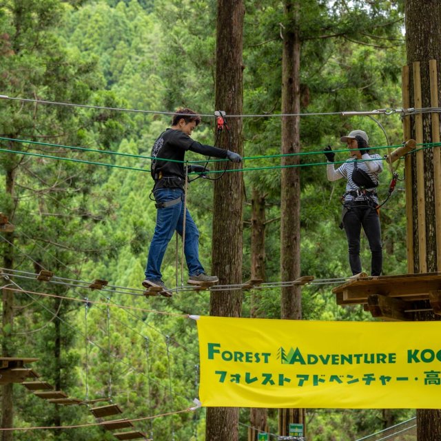 Forest Adventure ป่าแห่งการผจญภัย โคจิ 